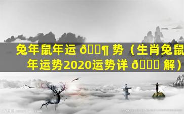 兔年鼠年运 🐶 势（生肖兔鼠年运势2020运势详 🐟 解）